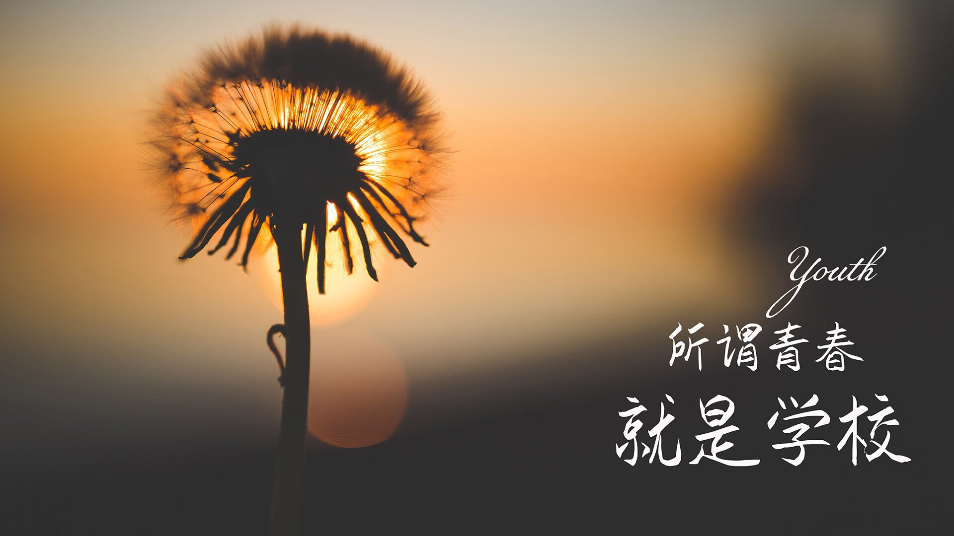 李明全场爆发！砍下30+再次领衔全队胜利！，李明踢哪个位置