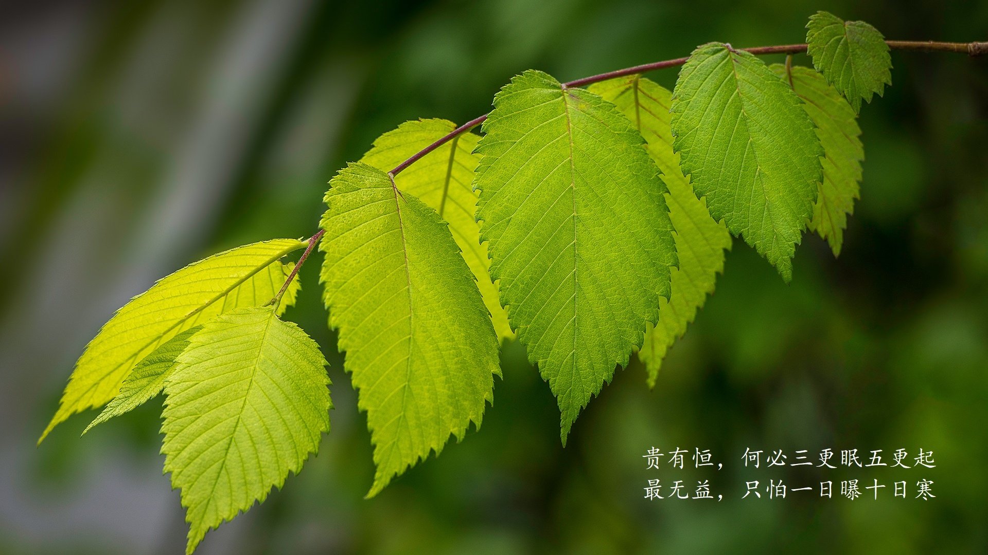 IM体育官方网站-巴西队在美洲杯中遭遇VAR判罚，进球被判无效，巴西队美洲杯大名单号码