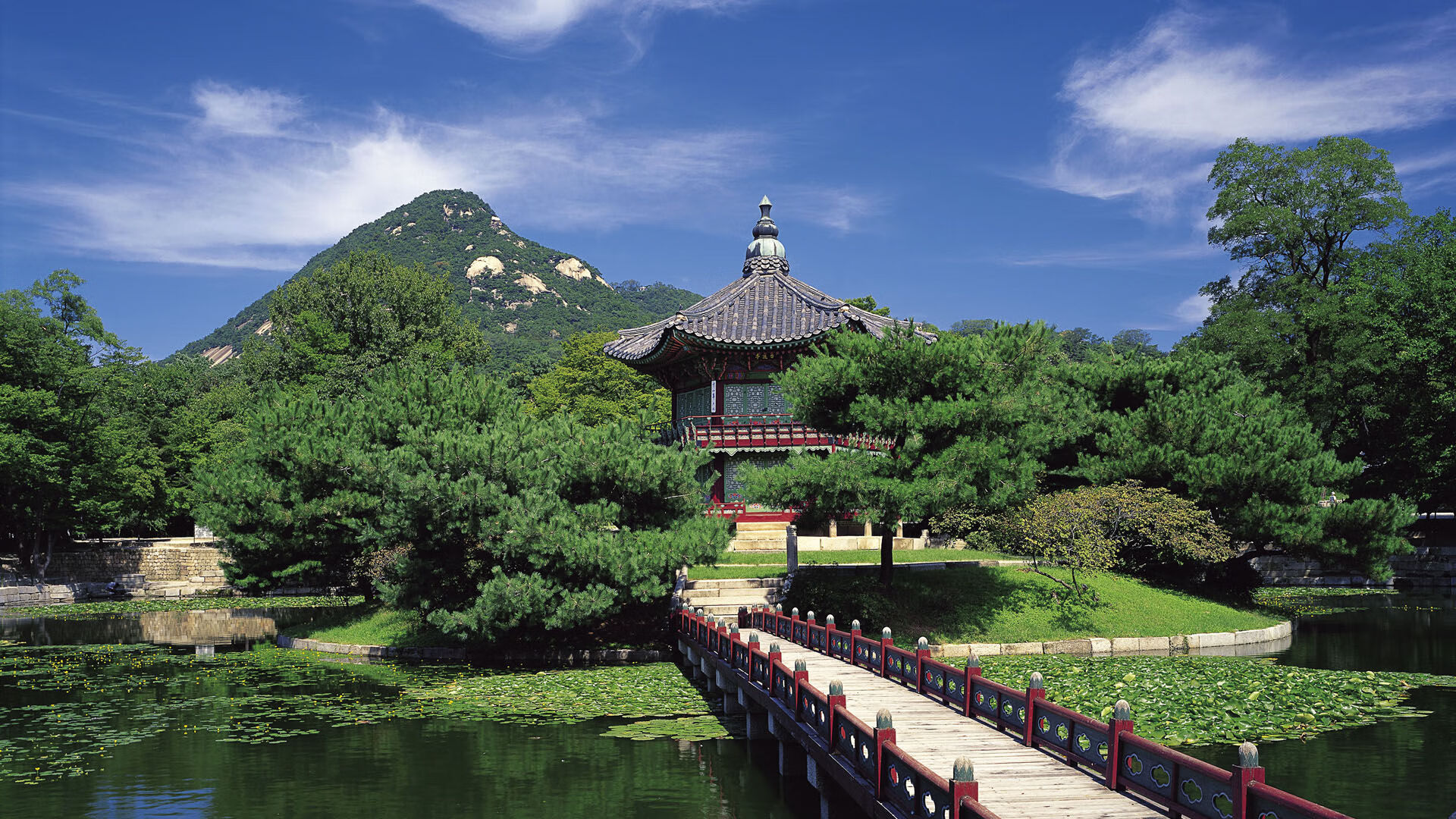 维达德卡萨布兰卡主场迎战阿尔阿赫利，德比战备受关注，哈萨维布莱德