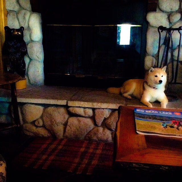 美洲杯期间的社交媒体传播，美洲杯采访